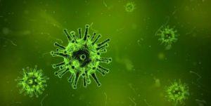 Новый патоген - коронавирус (COVID-19)