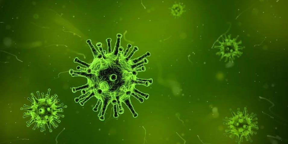 Системный риск пандемии. Новый патоген — коронавирус (COVID-19)